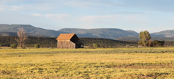 Rural_Colorado_-_Stock_image__586p.jpg